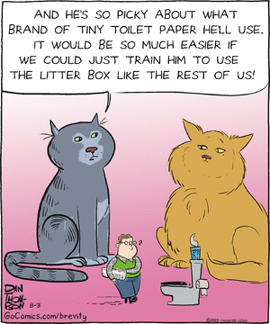 brevity